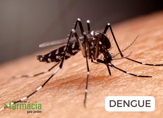  Dengue: Uma Ameaça Emergente em Portugal?