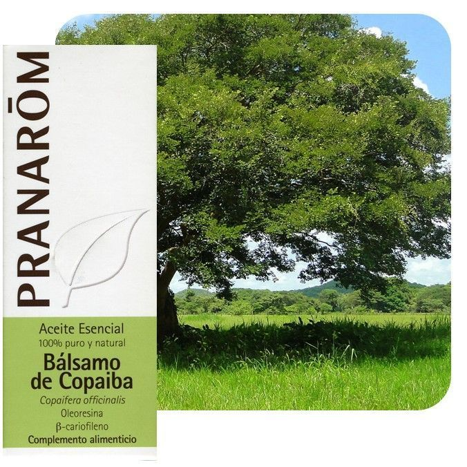 Pranarom Óleo Essencial Bálsamo da Copaiba 10mL