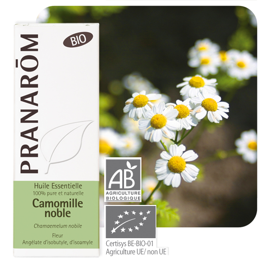 Pranarom Óleo Essencial Camomila nobre 5mL