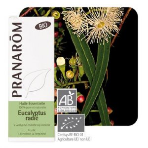 Pranarom Óleo Essencial Eucalipto Radiata 10mL