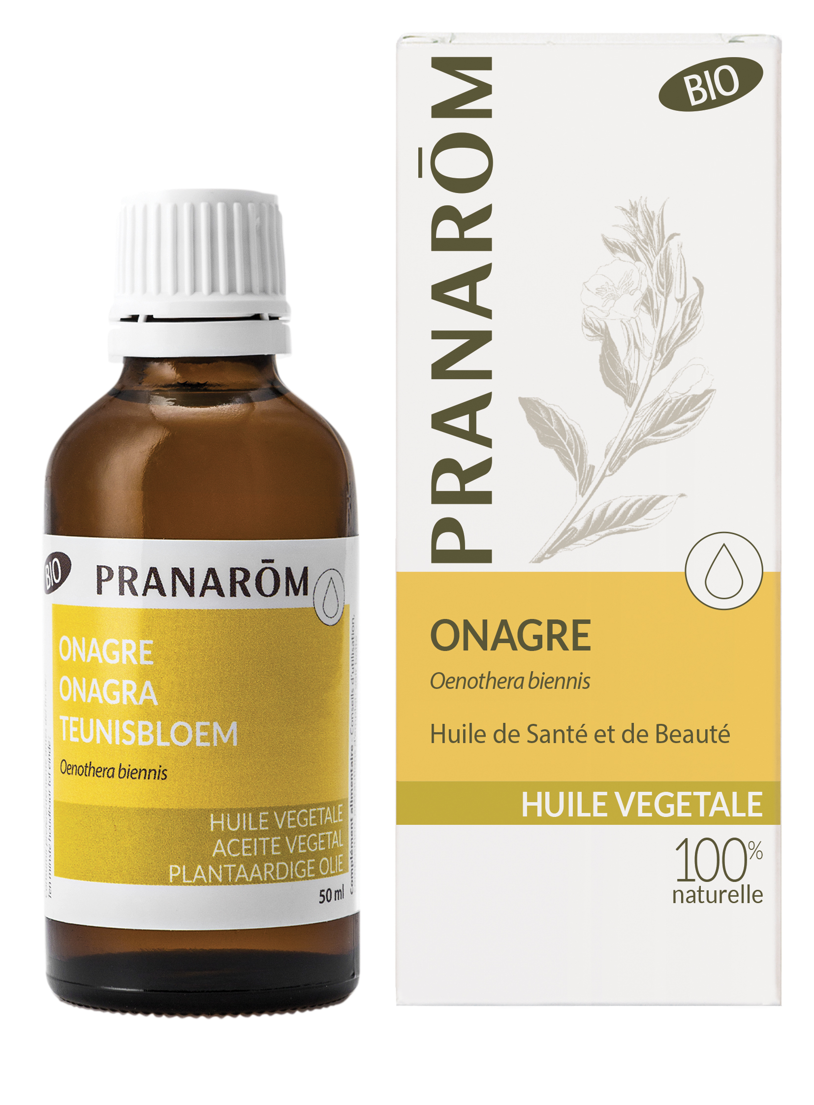 Pranarom Óleo Vegetal Onagra 50mL