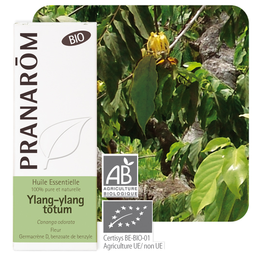 Pranarom Óleo Essencial Ylang Ylang 10mL