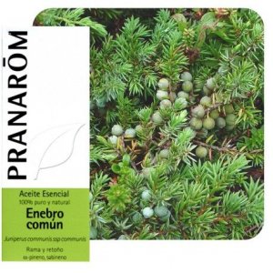 Pranarom Óleo Essencial Zimbro Comum 5mL