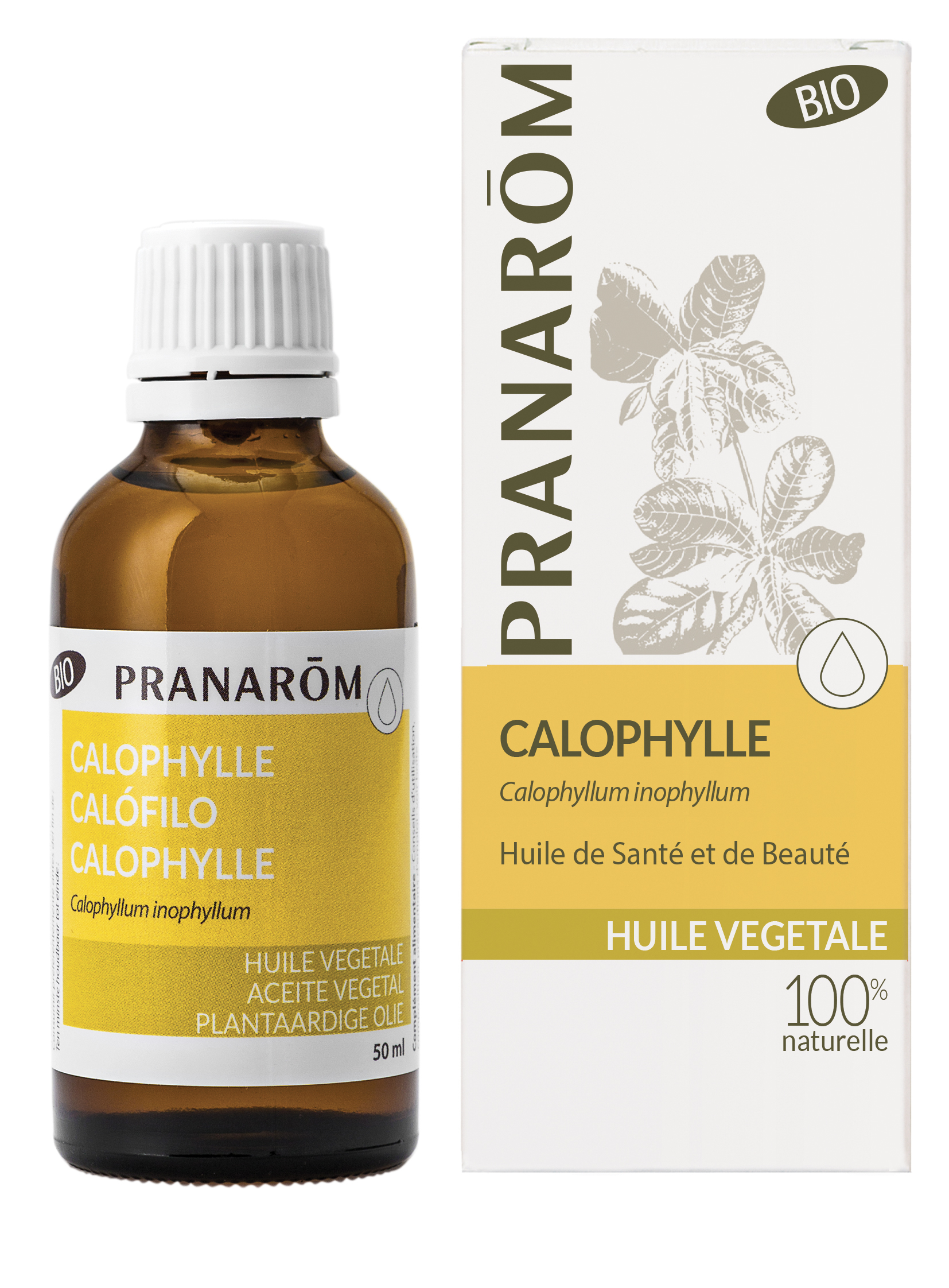 Pranarom Óleo Vegetal Calófilo ou Tamanu 50mL