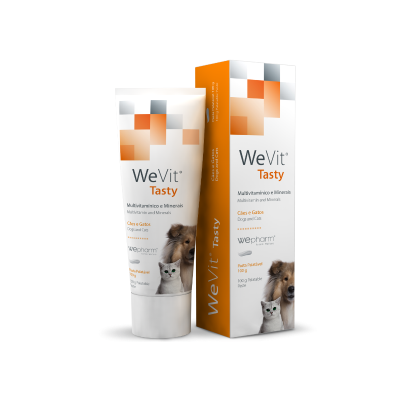 WeVit Tasty Gel 100mL