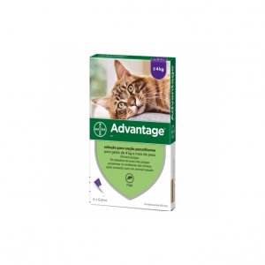 Advantage Gato Pipeta 4x0,8mL 4-8kg