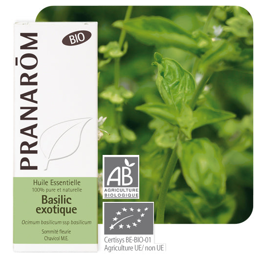 Pranarom Óleo Essencial Manjericão 10mL