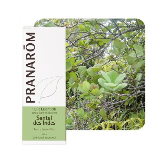 Pranarom Óleo Essencial Sandalo Album 5mL