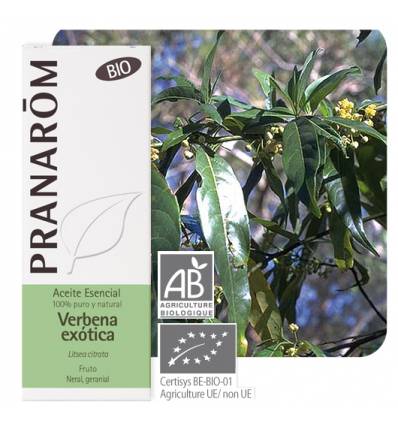 Pranarom Óleo Essencial Verbena Exótica 10mL