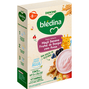 Blédina Papa Maçã Banana Frutos do Bosque 200g 8m+
