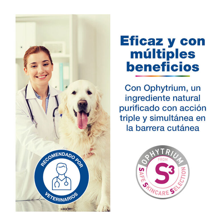 Ceva Douxo S3 Calm Mousse Espuma Sem Enxaguamento para Cães e Gatos – 200ml