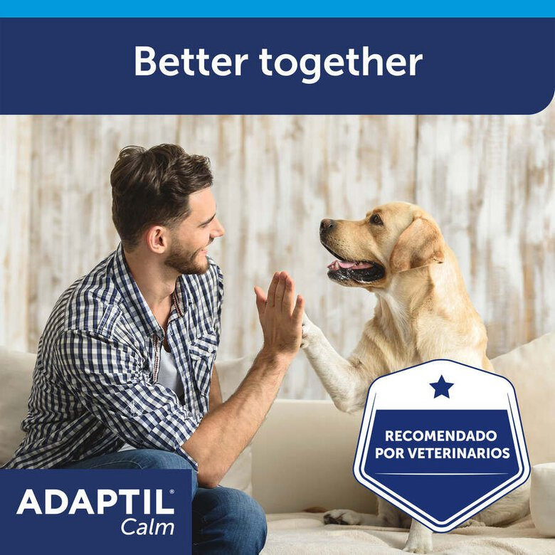 Adaptil Calm Coleira Calmante 45cm – Para Cães Pequenos e Médios