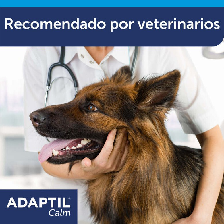 Adaptil Calm Coleira Calmante 45cm – Para Cães Pequenos e Médios