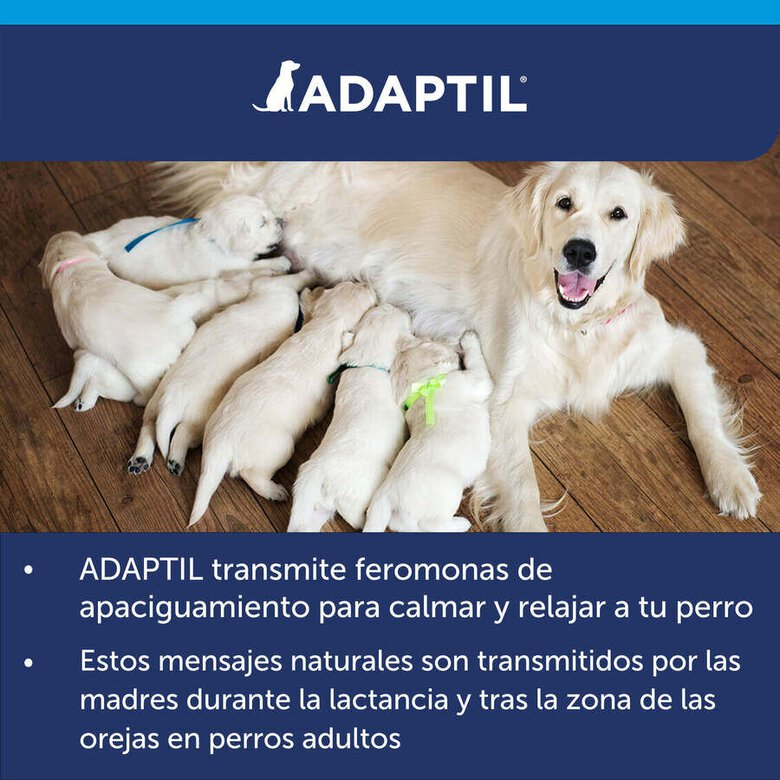 Adaptil Calm Coleira Calmante 45cm – Para Cães Pequenos e Médios