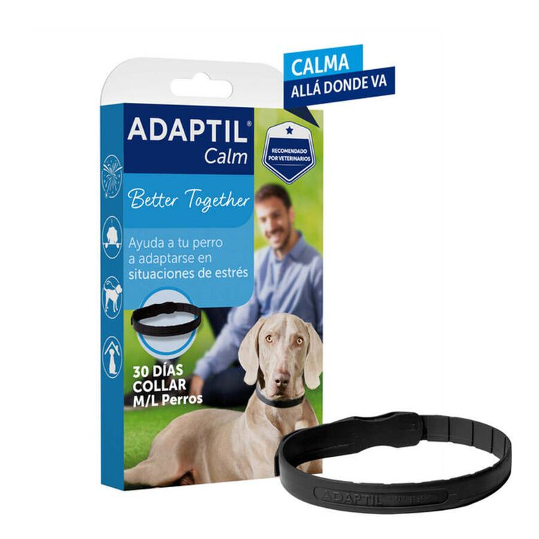 Adaptil Calm Coleira Calmante 70cm – Para Cães de Porte Grande