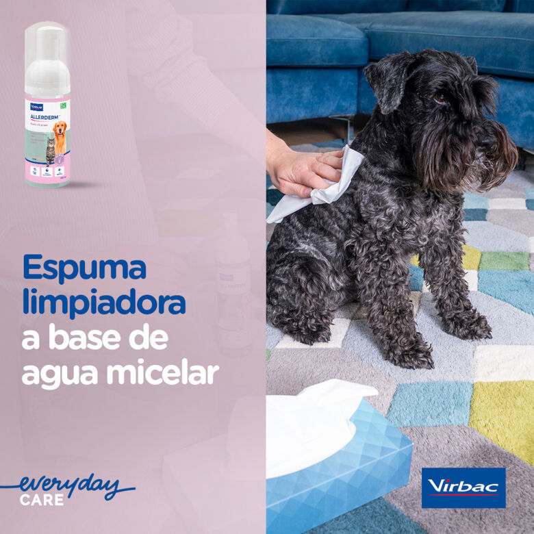 Allerderm Foam Espuma de Limpeza sem Enxaguamento para Cão e Gato – 100ml