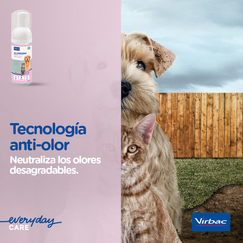 Allerderm Foam Espuma de Limpeza sem Enxaguamento para Cão e Gato – 100ml