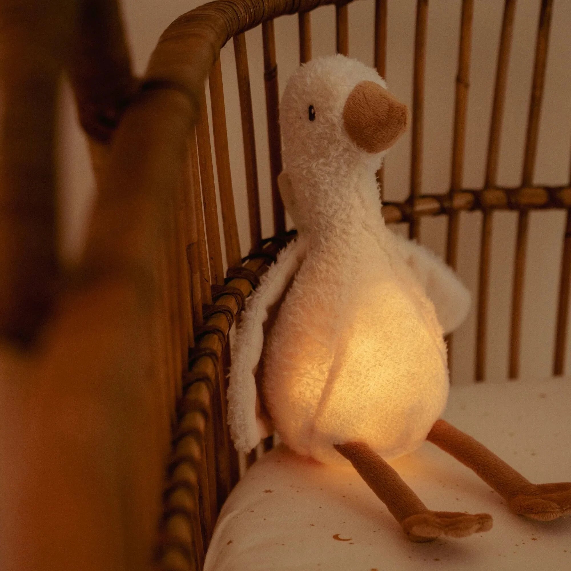 Little Dutch Little Goose Light and Sound LD8440
