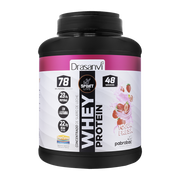 Drasanvi Whey Protein Conc. Iogurte Morango 1,450Kg