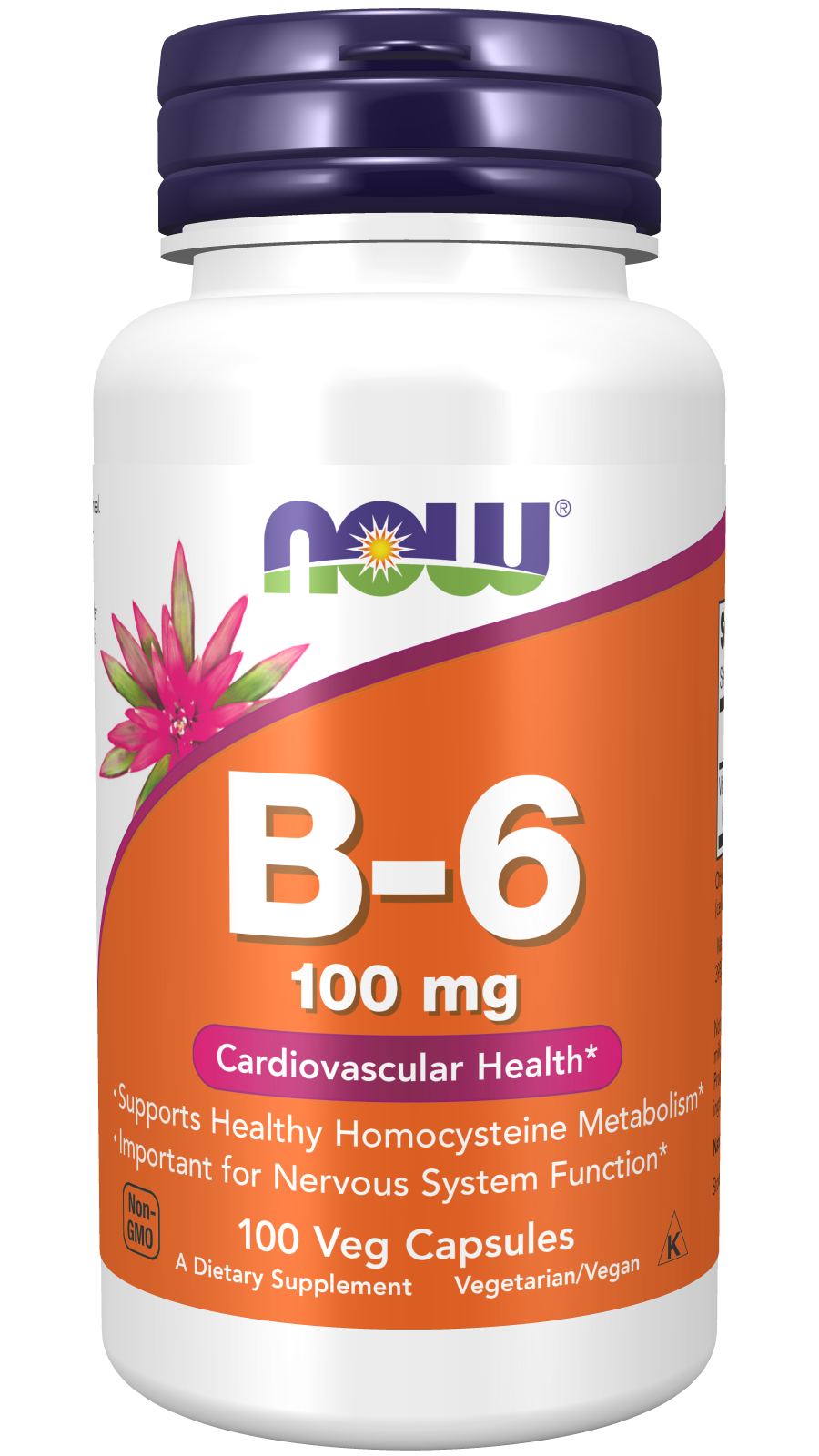 Now Vit B6 100mg  100 Cápsulas
