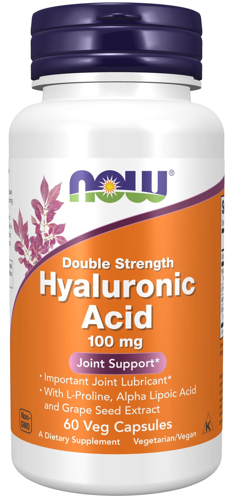 Now Hyaluronic Acid 100mg 60 Cápsulas