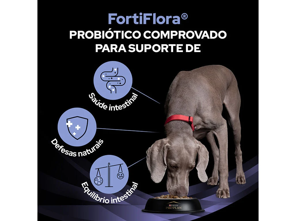 Purina Pro Plan FortiFlora Probiótico Cães – 30 Saquetas de 1g