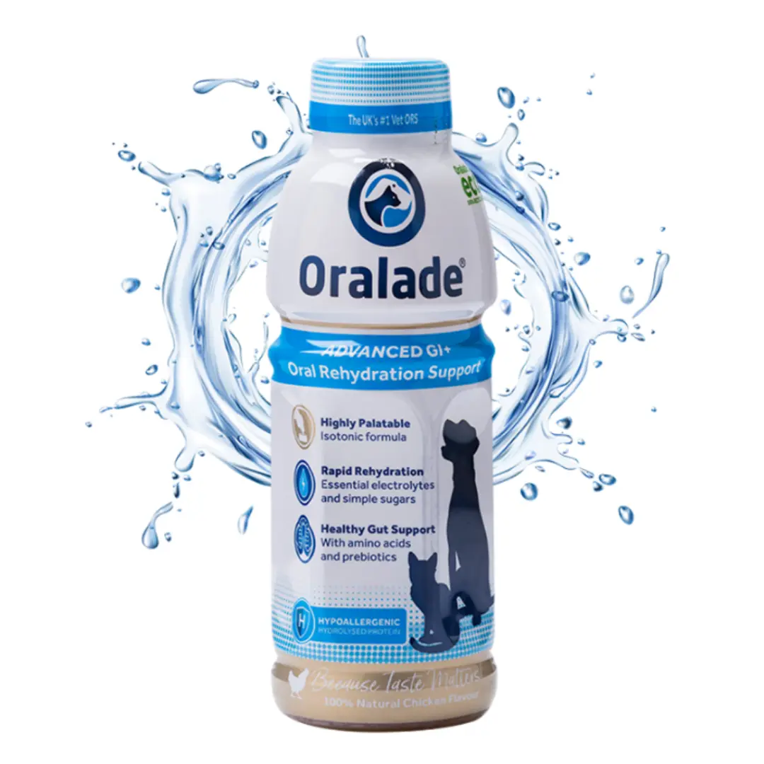 Bebida Isotónica Oralade Advanced GI+ Support para Cães e Gatos – Garrafa 500ml