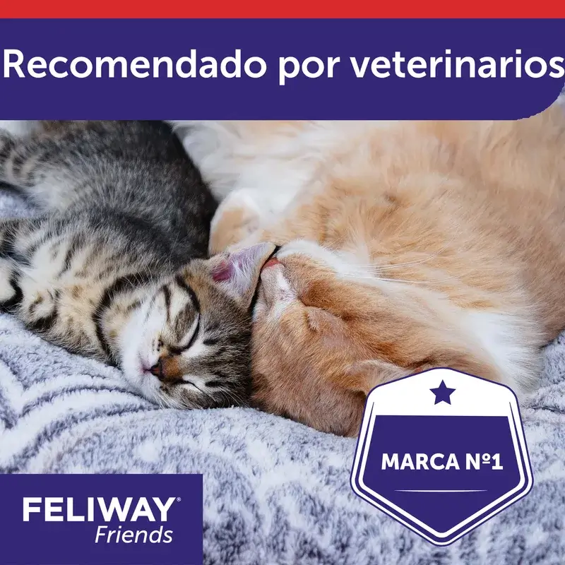 Ceva Feliway Friends Difusor + Recarga 48ml – Redutor de Conflitos entre Gatos