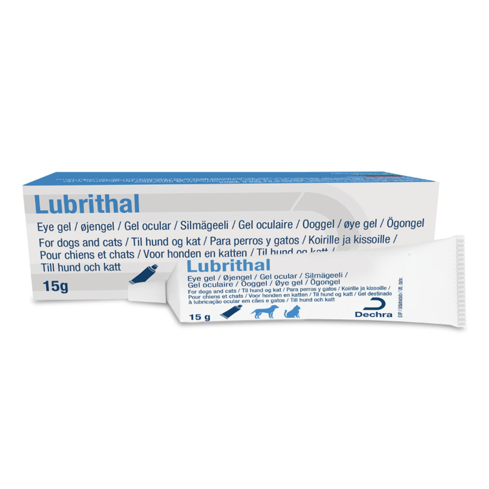 Dechra Lubrithal Gel Ocular Lubrificante para Cães e Gatos – 10g