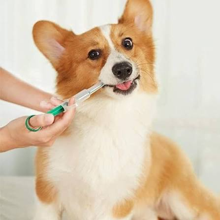 Lança Comprimidos Dispositivo de Administração para Cães e Gatos