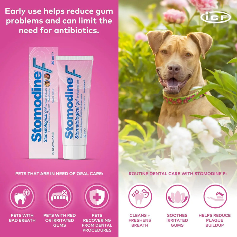 Stomodine F Gel Estomatológico 30ml – Cuidado Oral para Cães e Gatos